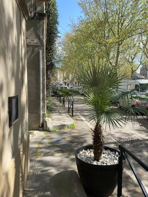 Nuit A La Roquette, Arles Lägenhet Exteriör bild